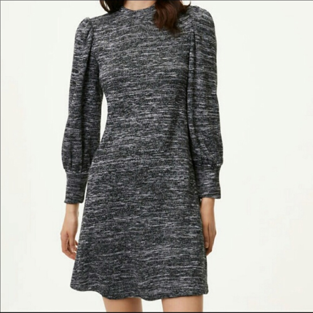 LOFT Sweater dress Large